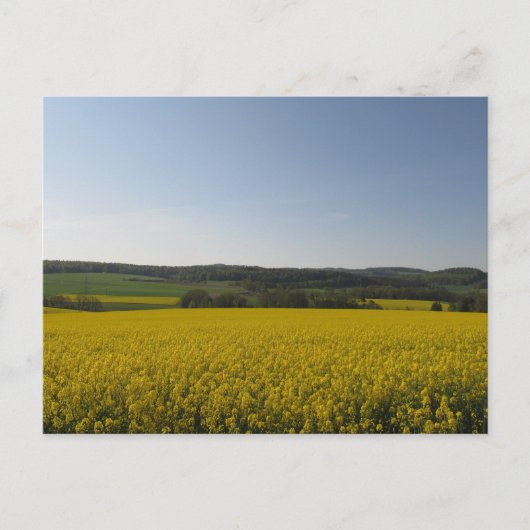 ラプフェルド ポストカード (正面)