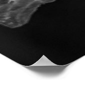 ラプライアノワール – Fortnight Lily, Transparent ポスター (角)