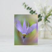 ラベかわいらしンパープルワイルドフラワー ポストカード (スタンド正面)