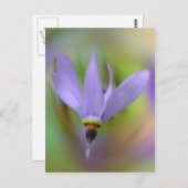 ラベかわいらしンパープルワイルドフラワー ポストカード (正面/裏面)