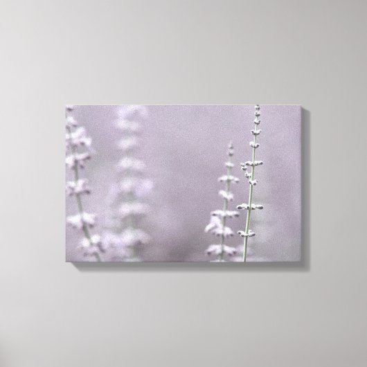 ラベエレガントンの花 キャンバスプリント (正面)