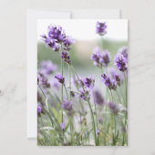 ラベエレガントンボヘミアン結婚式招待状 招待状 (裏面)