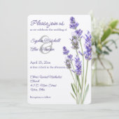 ラベシンプルンスパリグ 招待状 (スタンド正面)