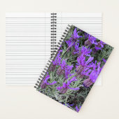 ラベスペインのンダー開花フローラ ノートブック (内側)