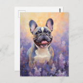 ラベフランスのンダー畑のブルドッグ ポストカード (正面/裏面)