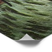 ラベルセウス（オーガスティンロウリン） 1889 ポスター (角)