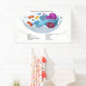 ラベル付き動物細胞図 横断幕 (インサイチュ)