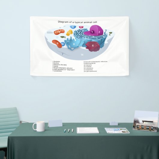 ラベル付き動物細胞図 横断幕 (トレードショー)