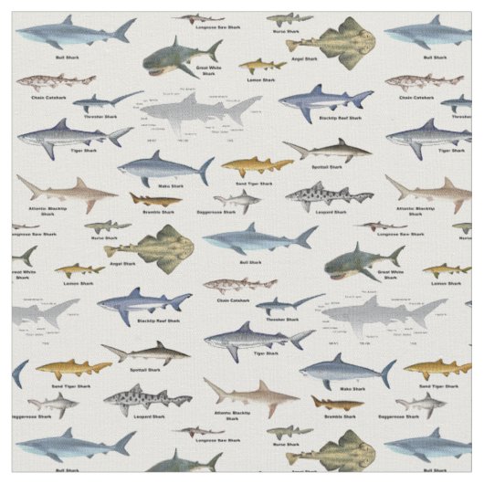 ラベル付けされたShark識別チャート ファブリック (クローズアップ)