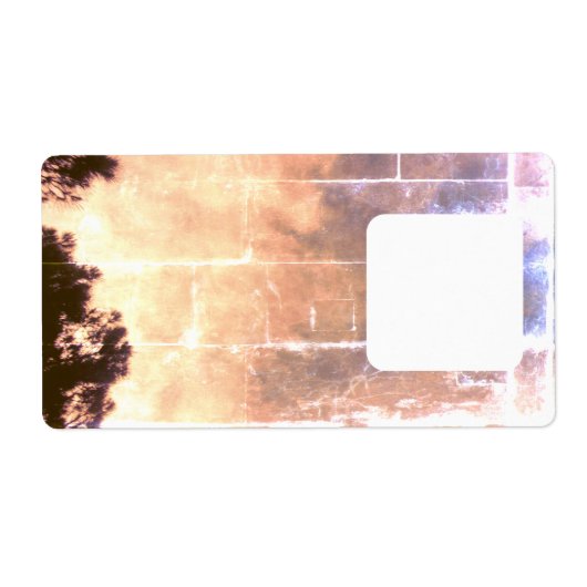 ラベル出荷クールエコスタイルデザイン ラベル (正面)