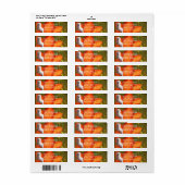 ラベル差出人住所マルチーズと花 ラベル (フルシート)