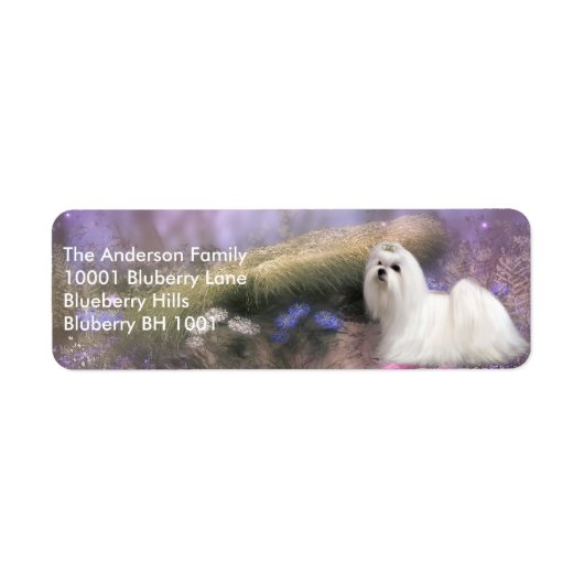 ラベル差出人住所マルチーズ ラベル (正面)