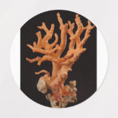 ラベル (デザイン2)