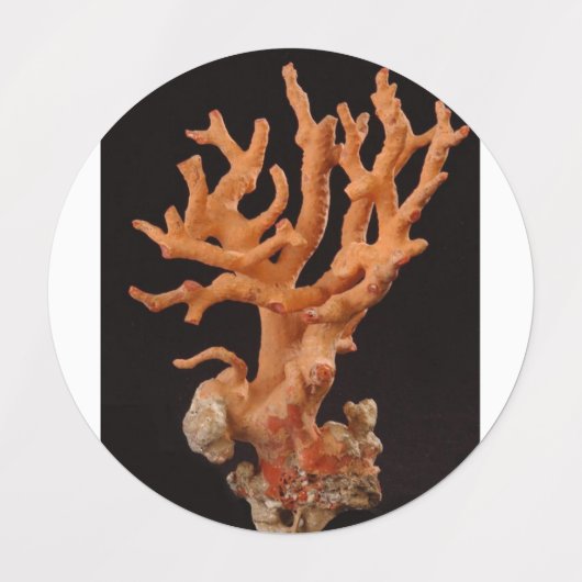 ラベル (デザイン2)