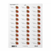 ラベル10-003 ラベル (フルシート)