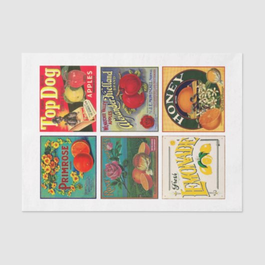 ラベル21 10x15ヴィンテージ食品の分離 薄葉紙 (正面)