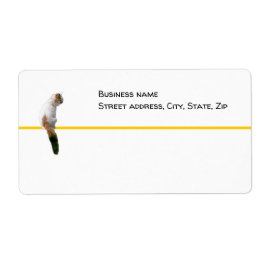 ラベル – 無料 – Watch Cat