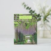 ラベロ，イタリア/シムブロンガーデン/カスケーディング藤 ポストカード (スタンド正面)