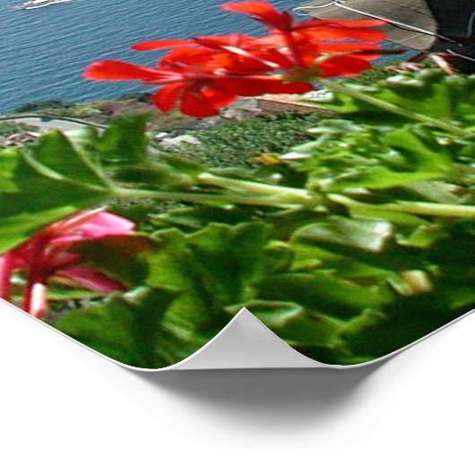 ラベロ・イタリア ポスター (角)