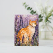 ラベンダーかわいらし畑の生姜の猫 ポストカード (スタンド正面)