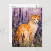ラベンダーかわいらし畑の生姜の猫 ポストカード (正面/裏面)
