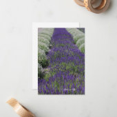 ラベンダーと白の行 ノートカード (正面/裏面インサイチュ)