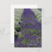 ラベンダーと白の行 ノートカード (正面/裏面)