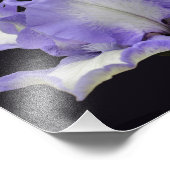 ラベンダーと白ひげ菖蒲の花8x10 フォトプリント            (角)