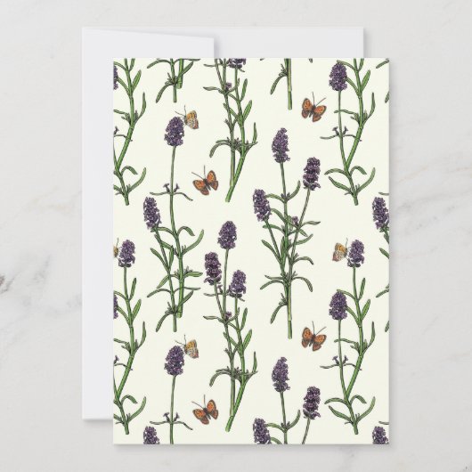 ラベンダーと蝶オフ白 (正面)