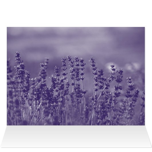 ラベンダーと賛美の誕生日をお願い (内部横(上))