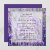 ラベンダーによってはブライダルシャワーが開花します 招待状 (正面/裏面)