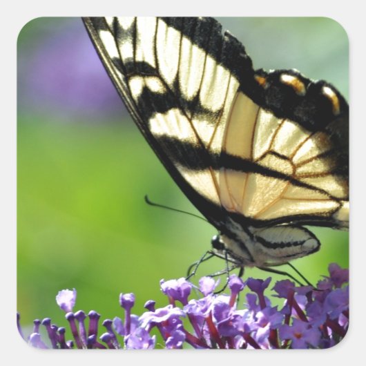 ラベンダーに黄色と黒の蝶 スクエアシール (正面)