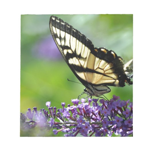 ラベンダーに黄色と黒の蝶 ノートパッド (正面)