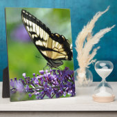 ラベンダーに黄色と黒の蝶 フォトプラーク (側面)