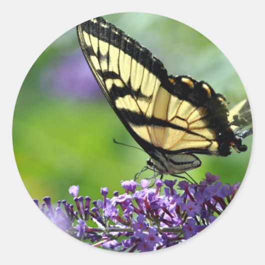 ラベンダーに黄色と黒の蝶 ラウンドシール (正面)