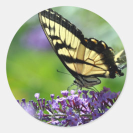 ラベンダーに黄色と黒の蝶 ラウンドシール