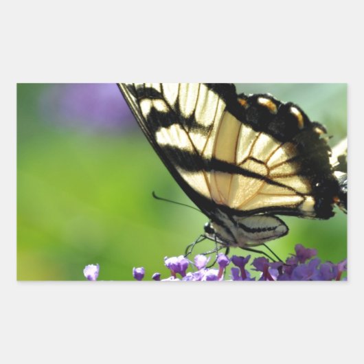 ラベンダーに黄色と黒の蝶 長方形シール (正面)