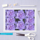 ラベンダーのばら色のシャロンの数々のなイメージ 薄葉紙 (クラフト)