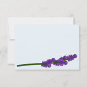 ラベンダーのアライグマ サンキューカード (裏面)