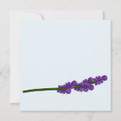 ラベンダーのアライグマ。ラクーンパーティー 招待状 (裏面)