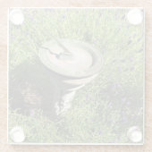 ラベンダーのサンダイヤル ガラスコースター (裏面)