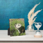 ラベンダーのサンダイヤル フォトプラーク (インサイチュ)