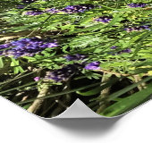 ラベンダーのサンダイヤル ポスター (角)