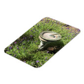 ラベンダーのサンダイヤル マグネット (左側)