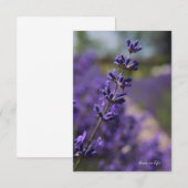 ラベンダーのシンプルな茎 ノートカード (正面/裏面)