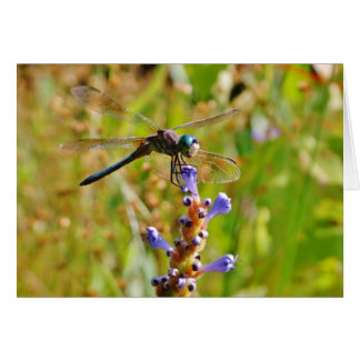 ラベンダーのフラワードラゴンフライ