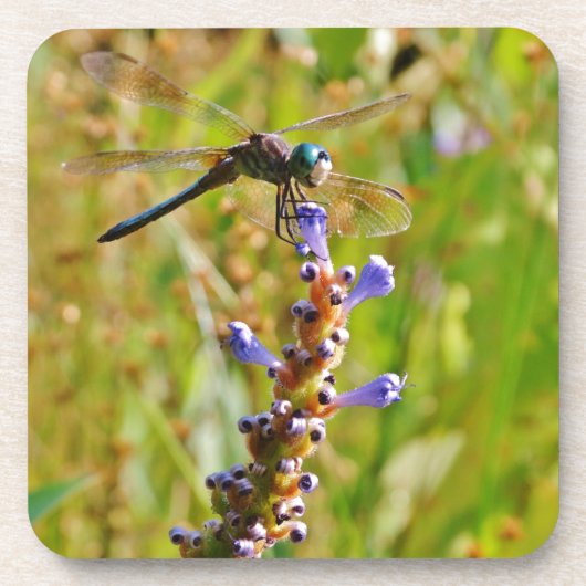 ラベンダーのフラワードラゴンフライ コースター (正面)