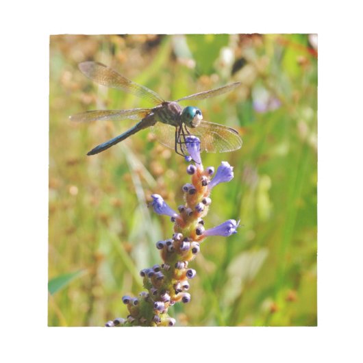 ラベンダーのフラワードラゴンフライ ノートパッド (正面)