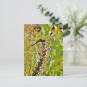 ラベンダーのフラワードラゴンフライ ポストカード (スタンド正面)