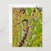 ラベンダーのフラワードラゴンフライ ポストカード (正面/裏面)